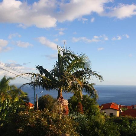 Apartamento Lugar Dos Louros 2 Estreito Da Calheta Exterior foto