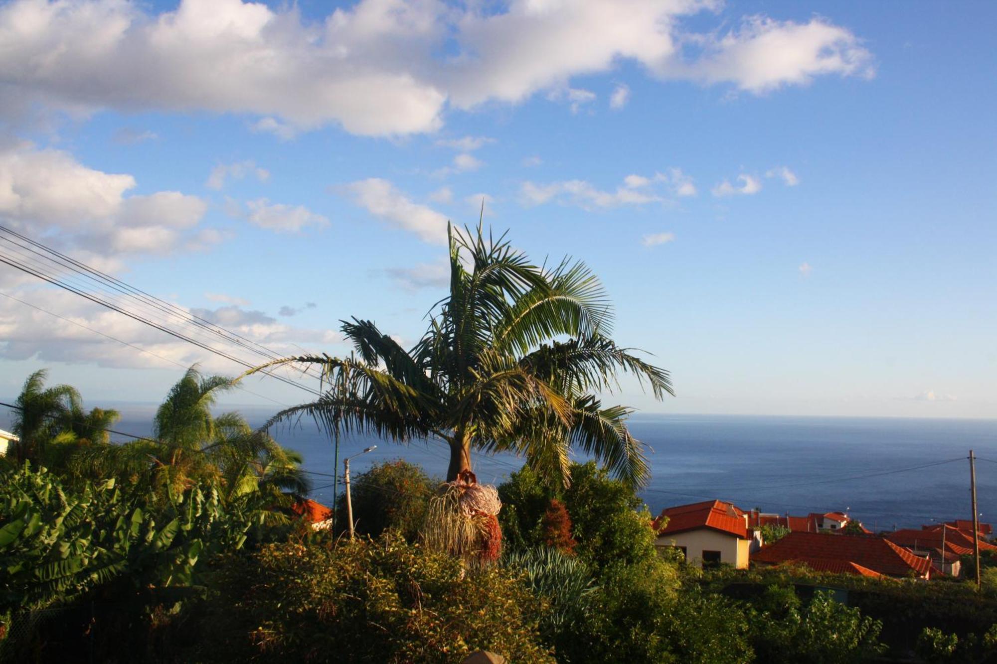 Apartamento Lugar Dos Louros 2 Estreito Da Calheta Exterior foto