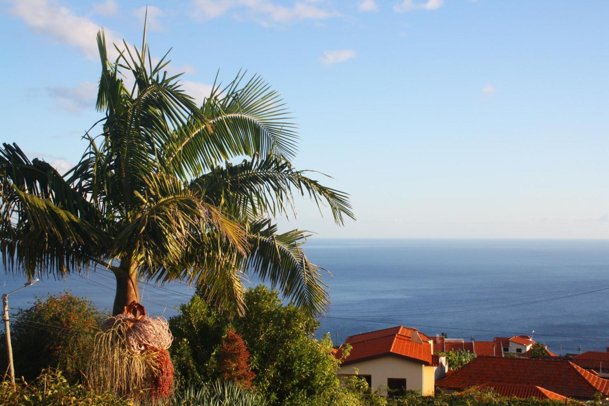 Apartamento Lugar Dos Louros 2 Estreito Da Calheta Exterior foto